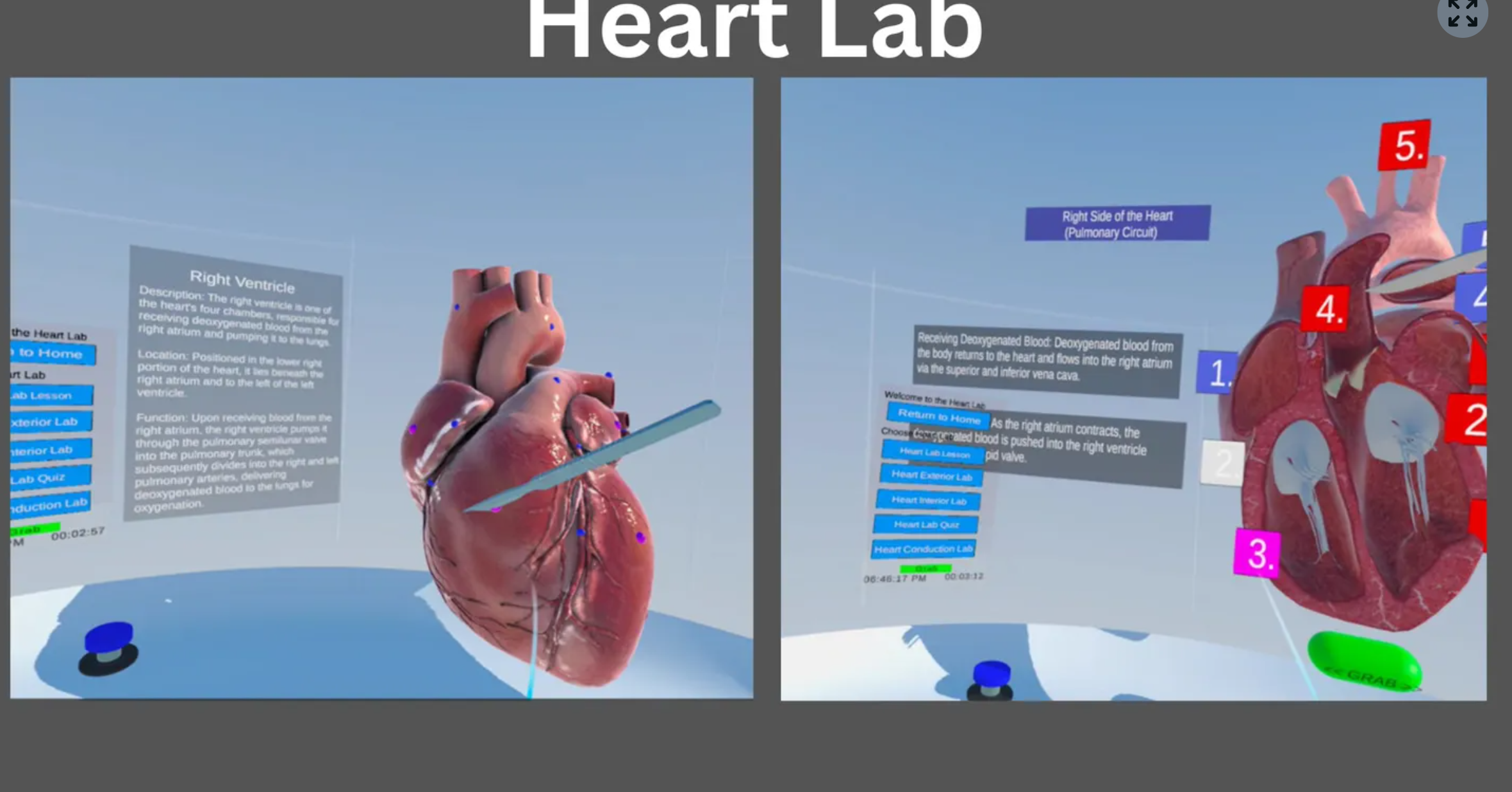 Heart Lab in VR