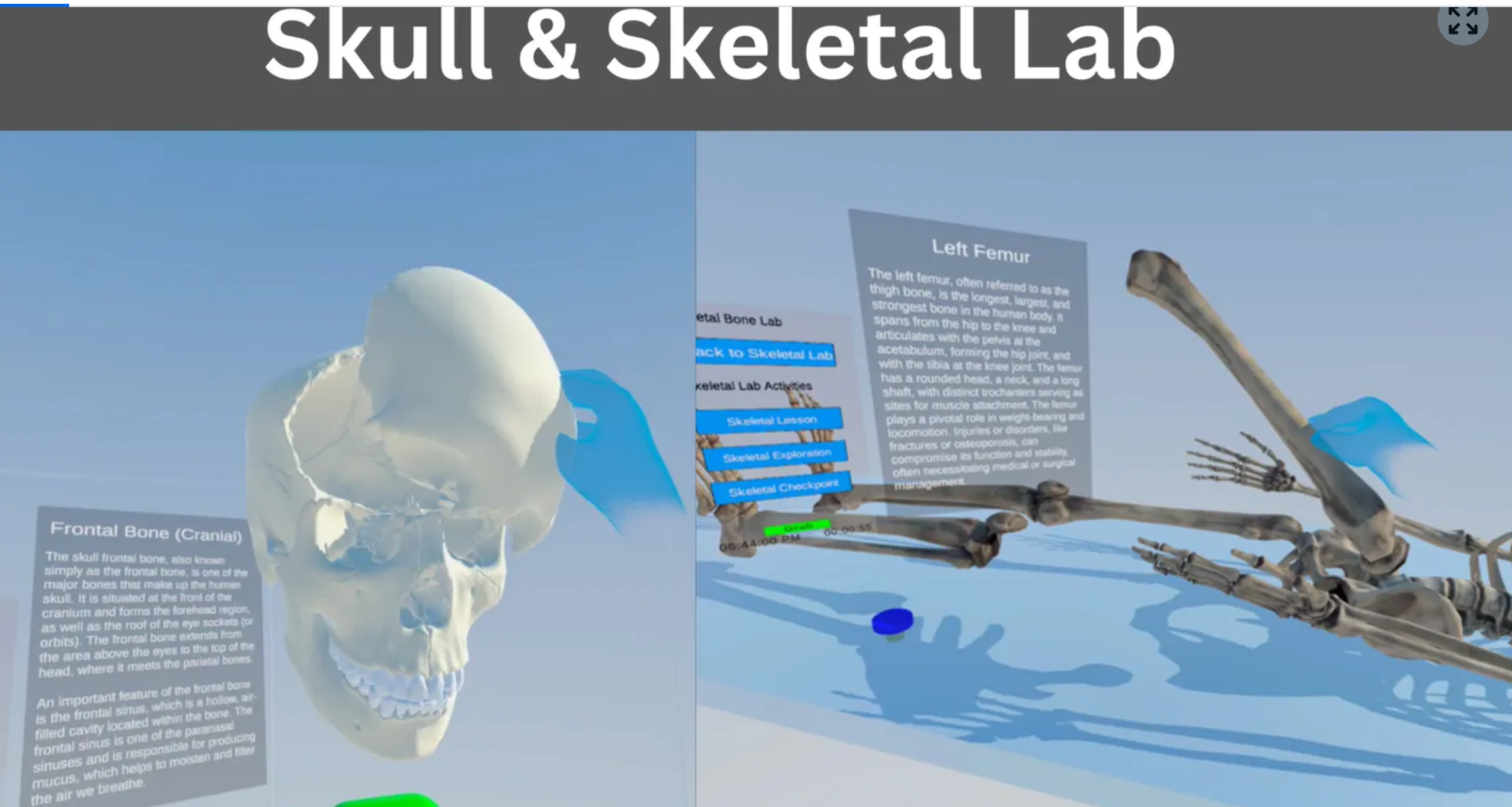 Skull & Skeletal Lab in VR